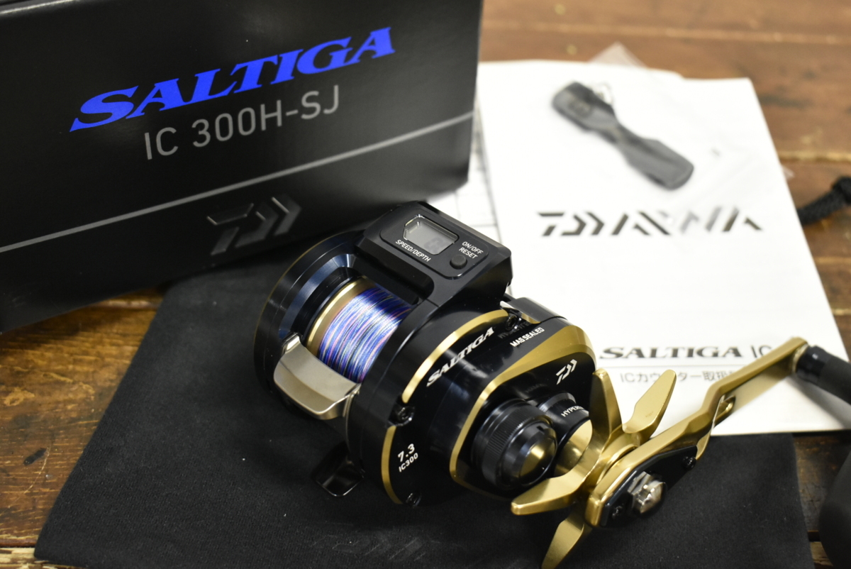 ダイワ(DAIWA) 21 ソルティガIC 300HL-SJ - labaleinemarseille.com